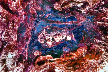A 267B